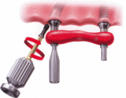 ALL ON 4�E�I�[���I��4